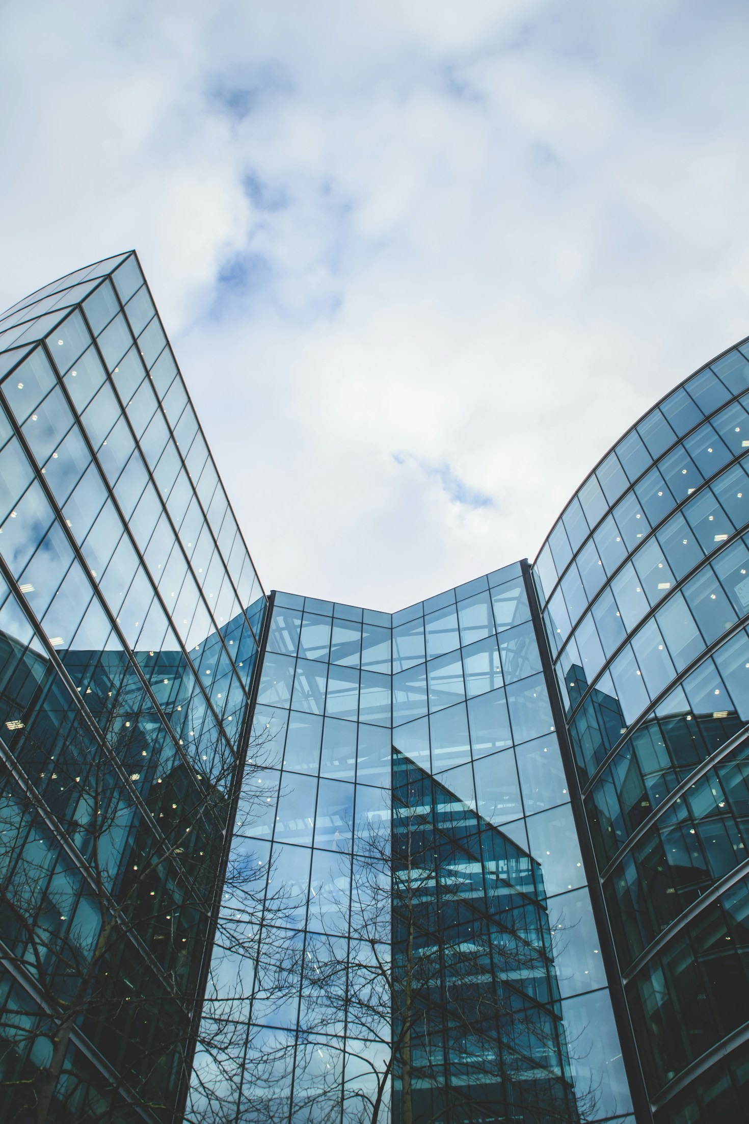 Building Resilient Ventures In Modern Markets